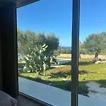 Panorama *