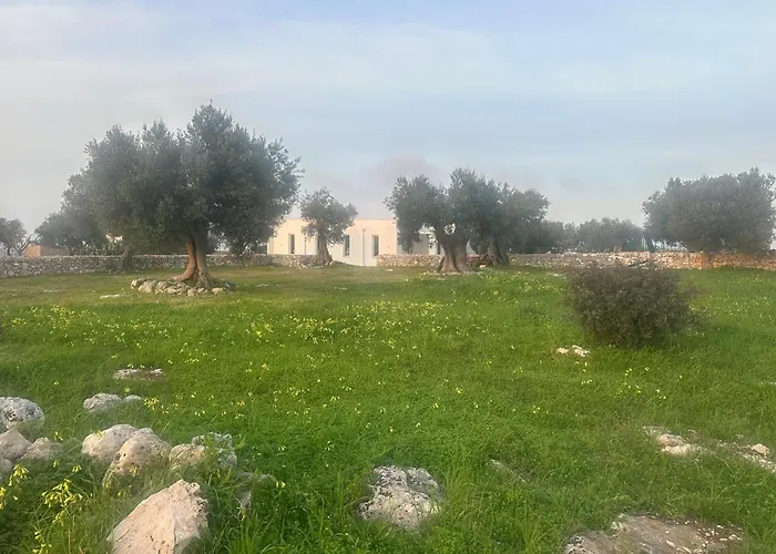 Panorama * Полиньяно-а-Маре